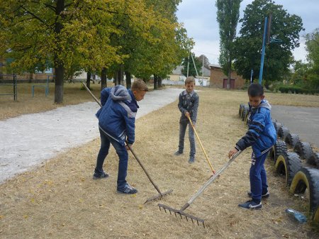 Суспільно корисні роботи (6 клас)