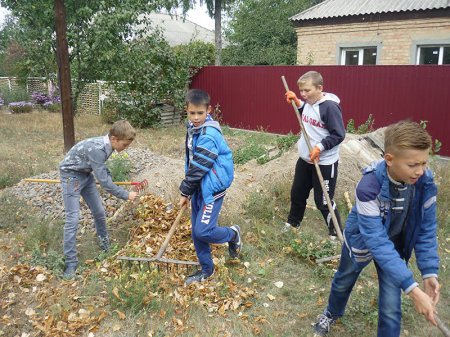 Суспільно корисні роботи (6 клас)