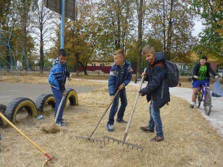Суспільно корисні роботи (6 клас)
