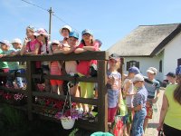 Табір «Сонечко» (08.06)