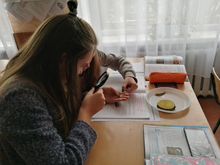 Декада вчителя, що атестується