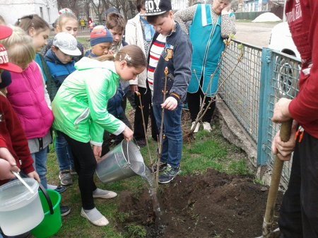 Акції «За чисте довкілля» та «Посади дерево»