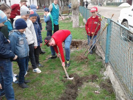 Акції «За чисте довкілля» та «Посади дерево»