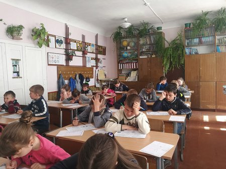 Колосок весняний 2018