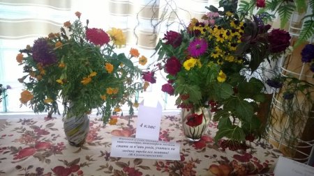 Виставка екібан присвячена сторіччю В. О.Сухомлинського