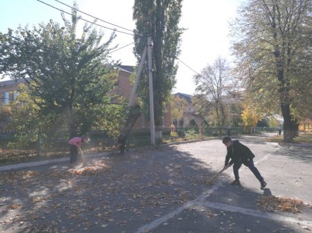 За чисте довкілля. Прибирання шкільної території.