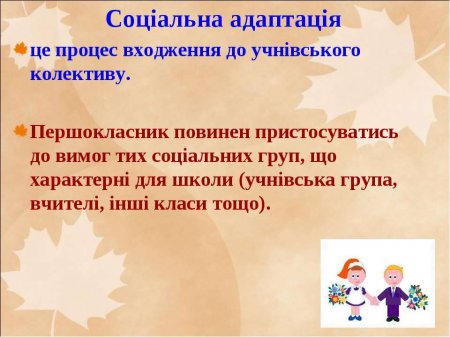 Що таке адаптація