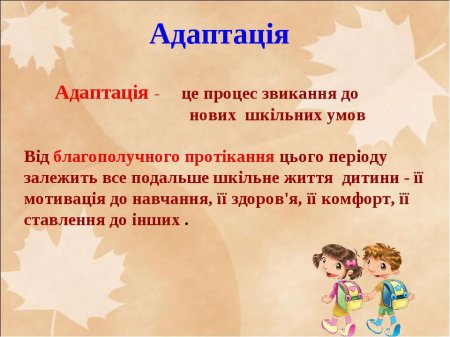 Що таке адаптація
