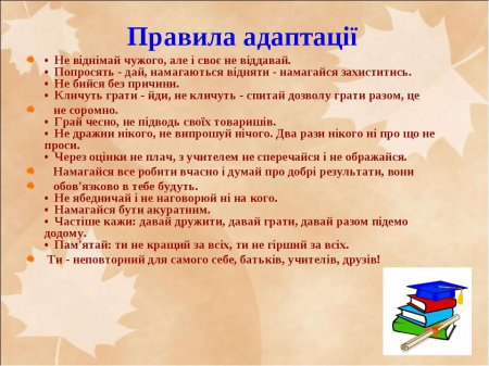 Що таке адаптація