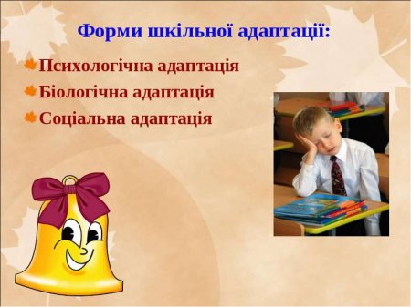 Що таке адаптація