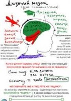 Це цікаво